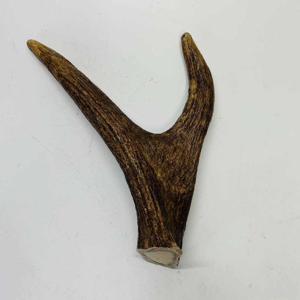 Naturally Shed Wild Moose Antler Horn Knife Carving Dog Chew Taxidermy Craft DIY